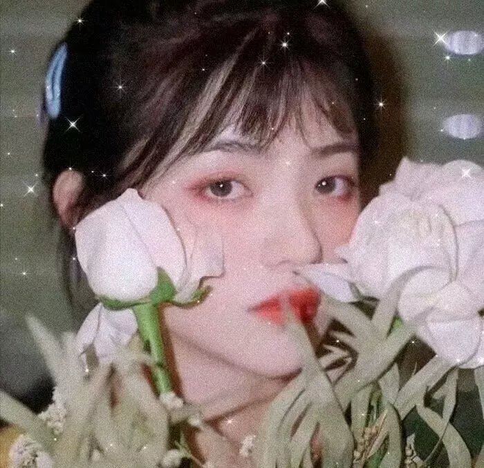浴火重生